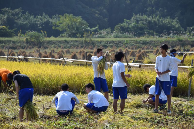 trường trung học OISCA
